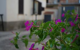 Loiacono Apartments 2